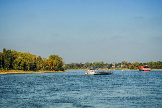 Rhein