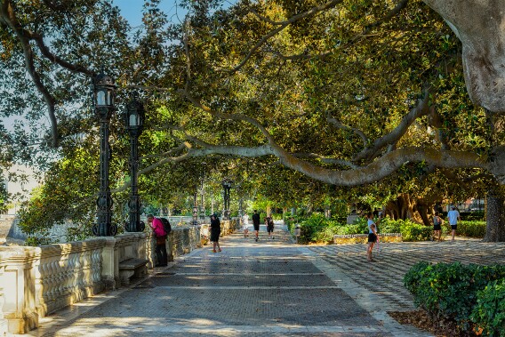 Paseo Canalejas - Cádiz