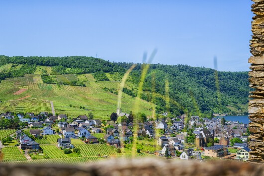 Blick von Burg Metternich null