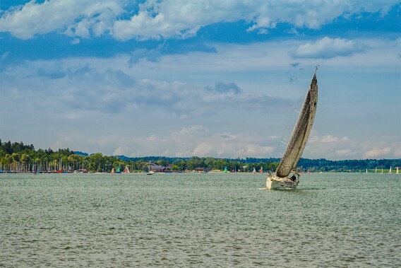 DSC_8395