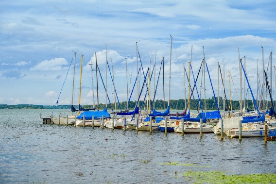 DSC_8406