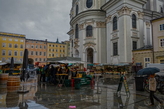 DSC_8213