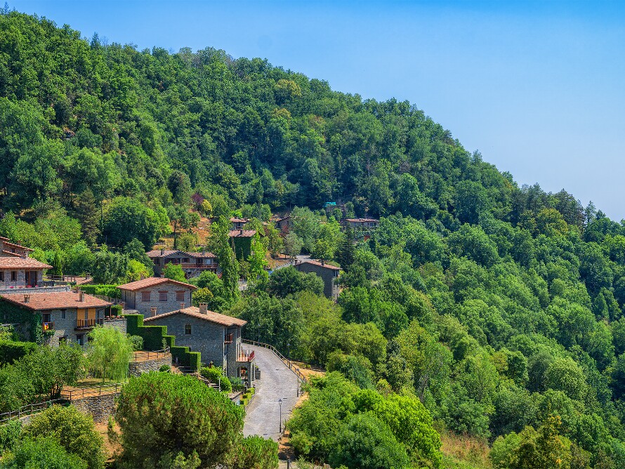 Rupit