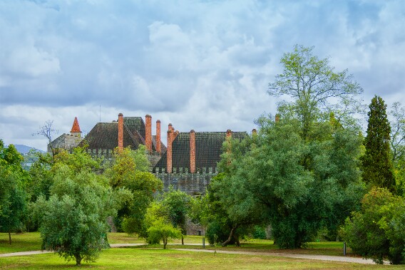 DSC_1947