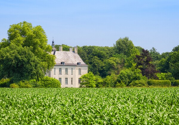 Landschaft