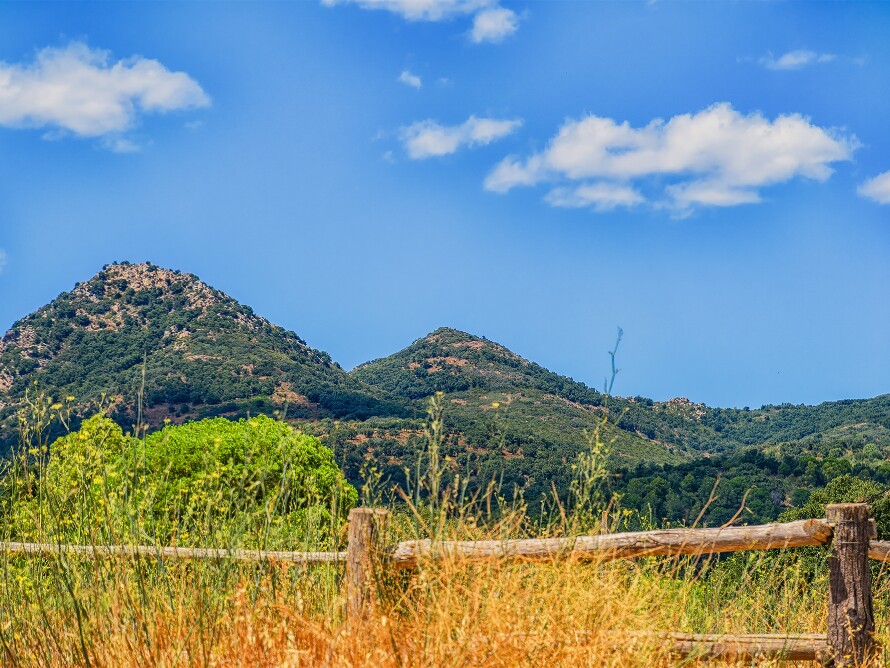 Landschaft